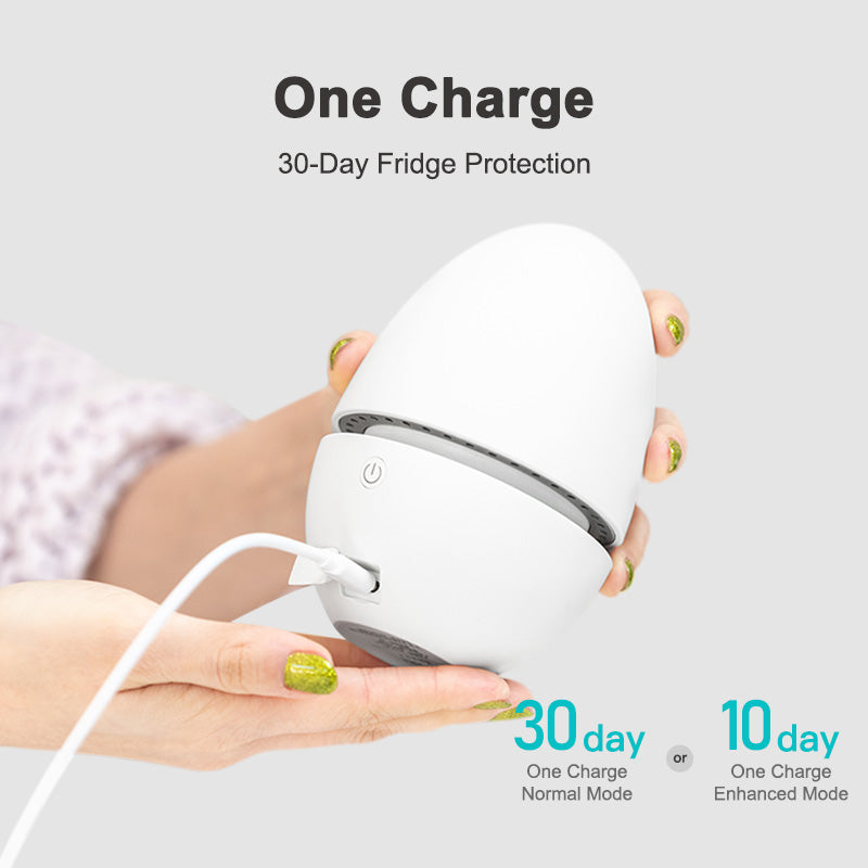 Rootsense Refrigerator Deodorizer & Purifier – Eliminates Odors, Extends Food Shelf Life, and Kills Bacteria with Ozone Technology – Compact USB-C Rechargeable Design