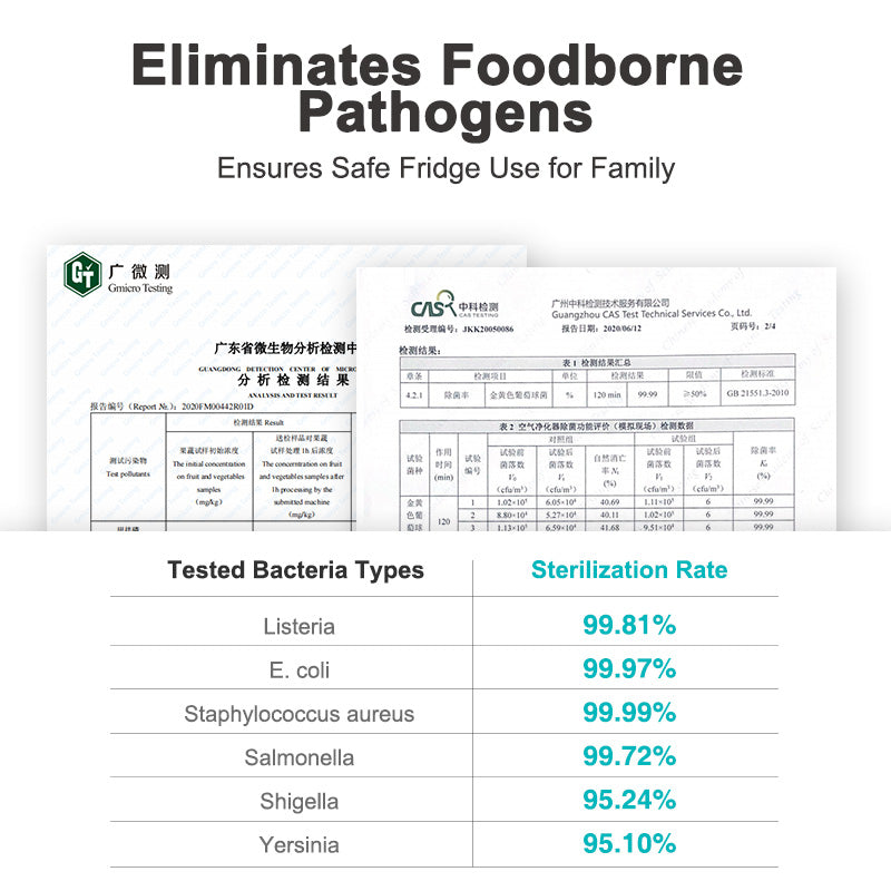 Rootsense Refrigerator Deodorizer & Purifier – Eliminates Odors, Extends Food Shelf Life, and Kills Bacteria with Ozone Technology – Compact USB-C Rechargeable Design